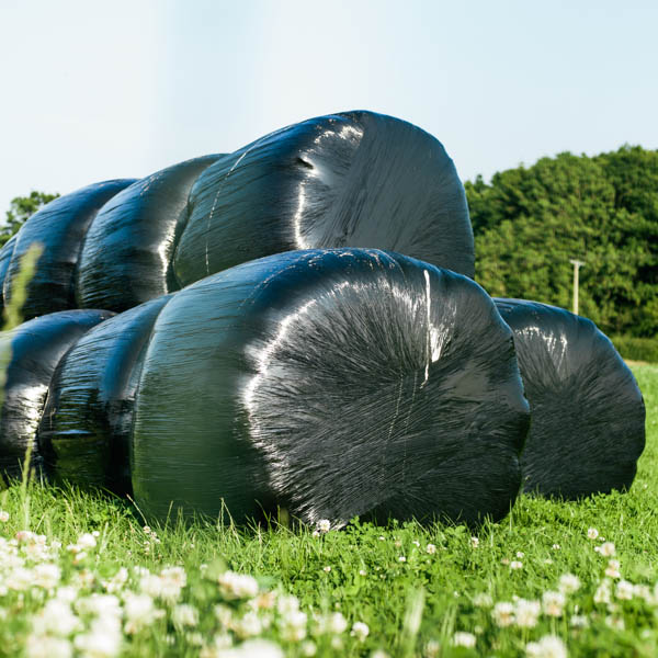 the-different-forms-of-haylage-and-hay-which-one-is-right-for-your